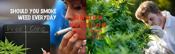 сатива Приозерск