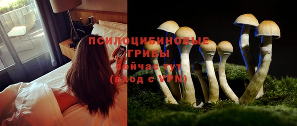 MDMA Premium VHQ Покровск