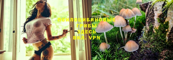 винт Протвино