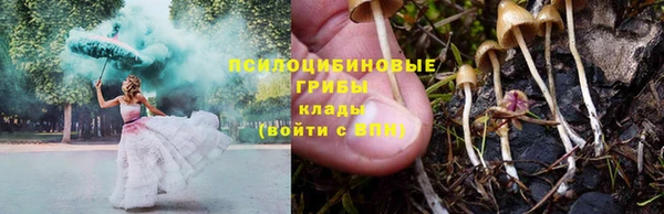 бутират Покачи
