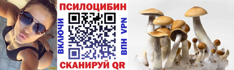 Псилоцибиновые грибы Cubensis  hydra как зайти  Верхотурье 